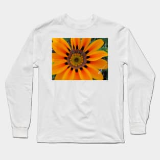 Gazania 8 Long Sleeve T-Shirt